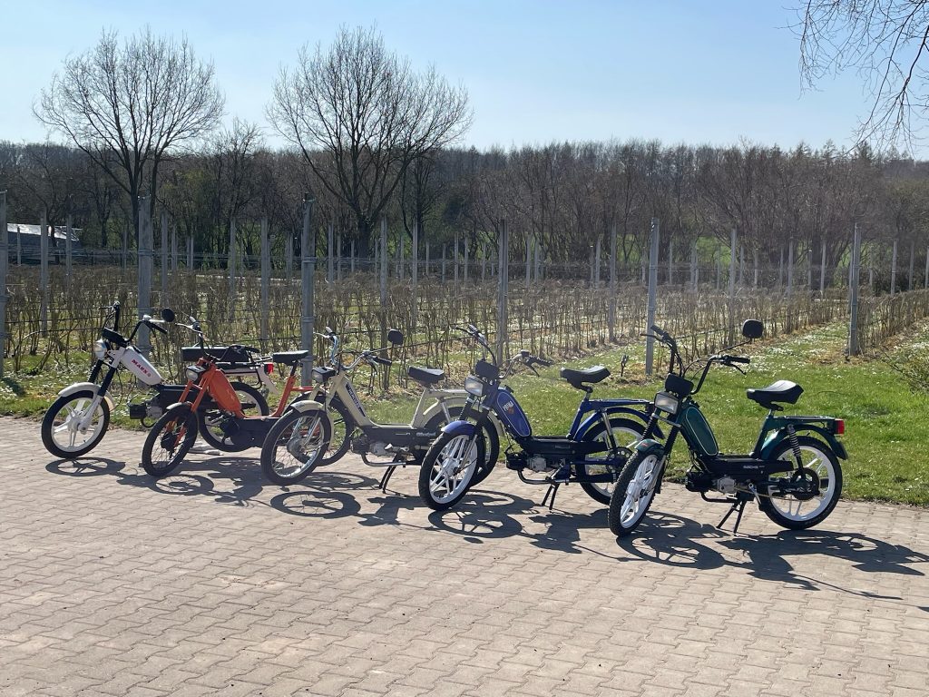 Mofas in Reihe auf dem Gojihof in Hagenburg